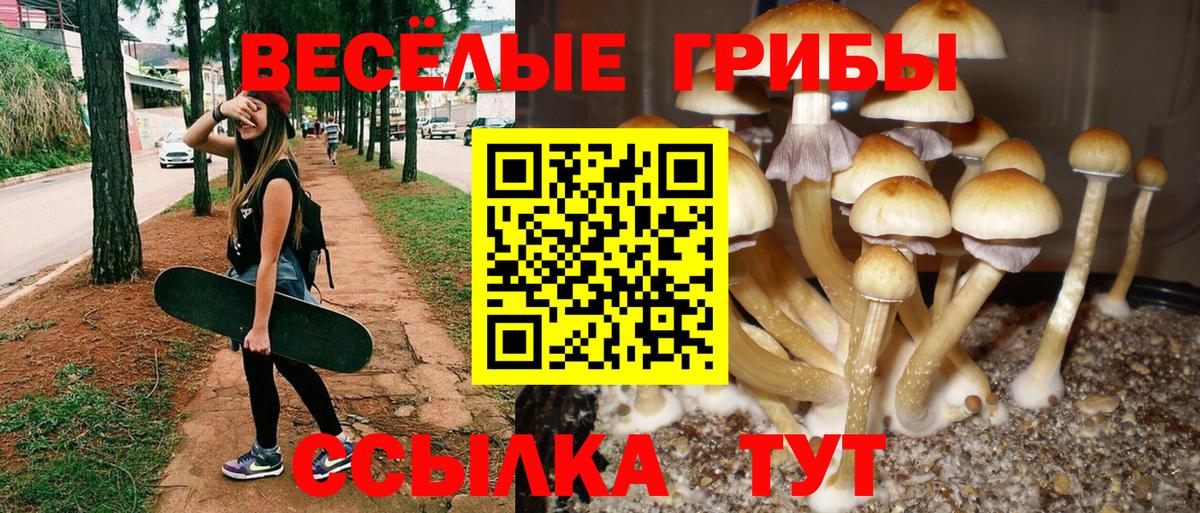 Псилоцибиновые грибы GOLDEN TEACHER  Вход с VPN  Псилоцибиновые грибы прущие грибы  Ханты-Мансийск 
